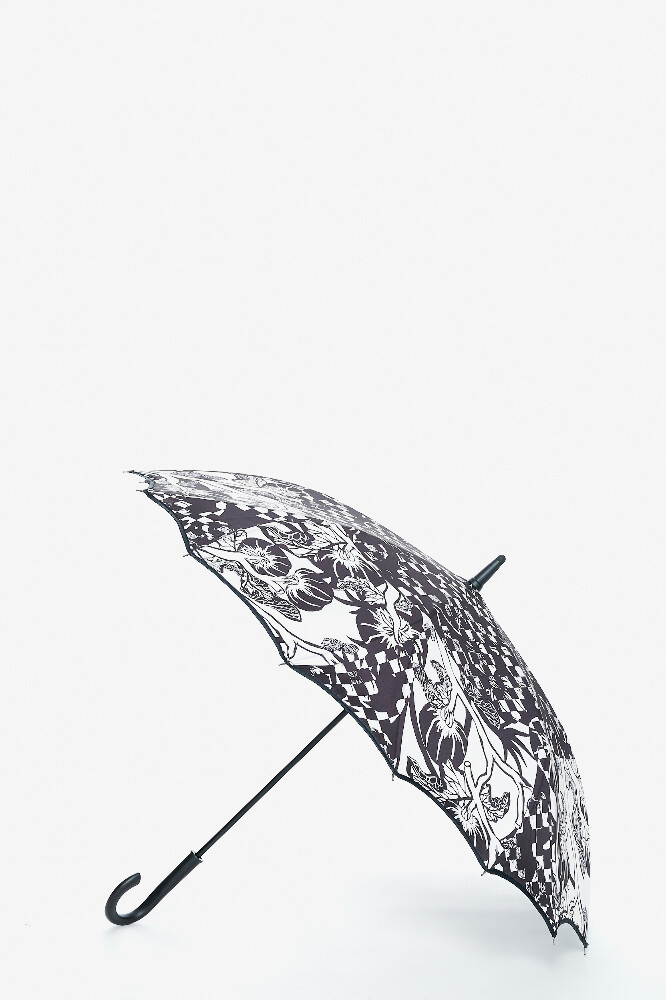 Зонт фотография
